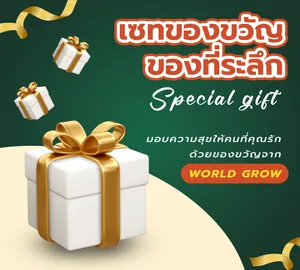 Flower Tea Collection